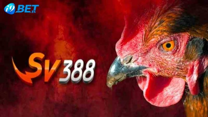 Đá gà SV388