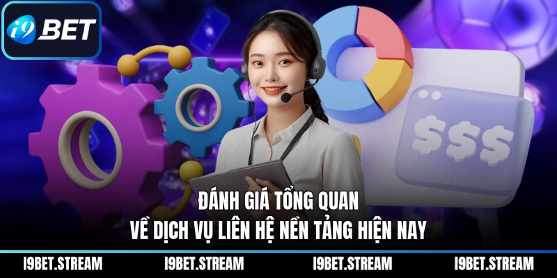 Đánh giá tổng quan về dịch vụ liên hệ nền tảng hiện nay